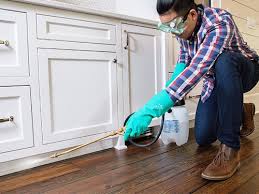 Best Residential Pest Control  in Phoenix, AZ